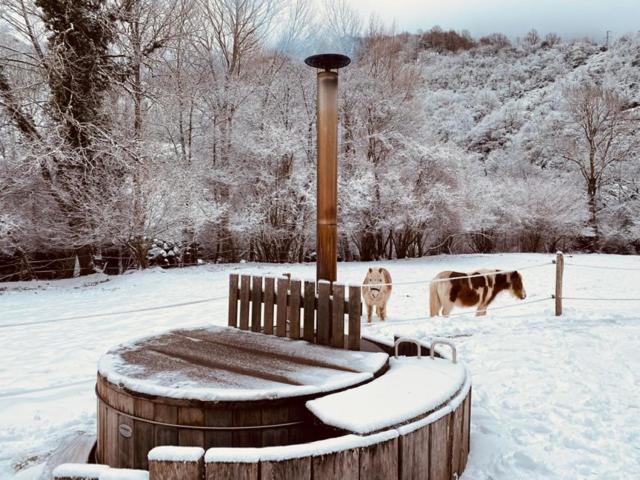 Chalet Le Fario, Bain Nordique Frechet-Aure Eksteriør billede
